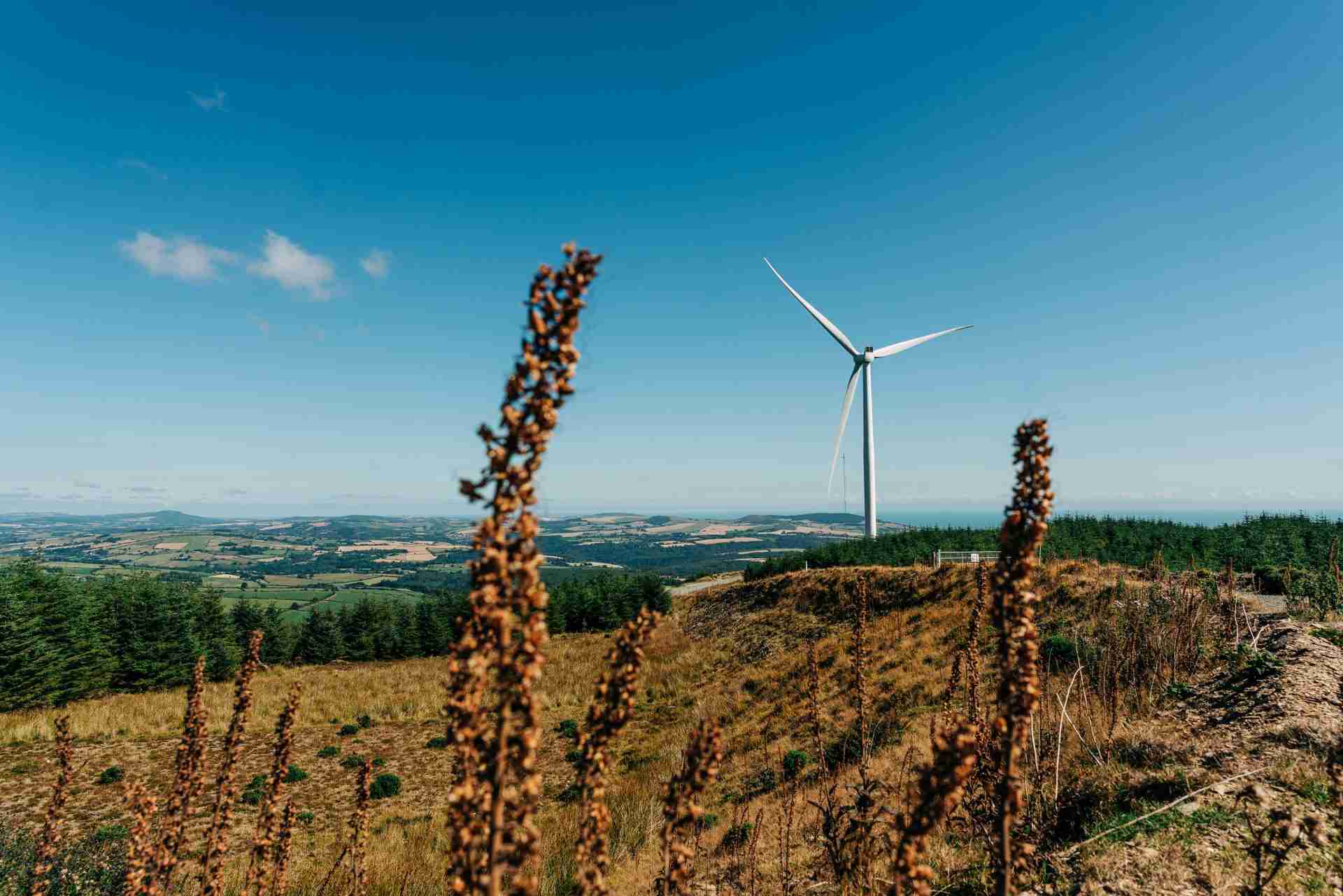 Wind farm